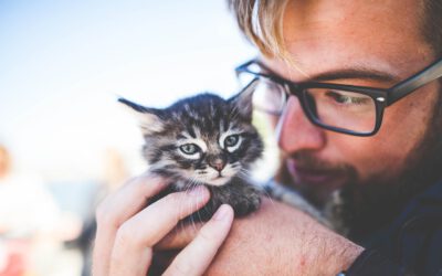 Bindung und Beziehung zur Katze – Vertrauen auf Samtpfoten