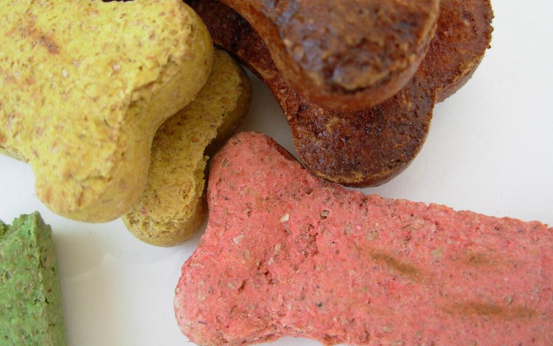 Gesunde Hundeleckerlis selber machen – 3 einfache Rezepte zum Verlieben