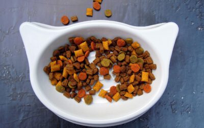 Katzenfutter bei Allergien