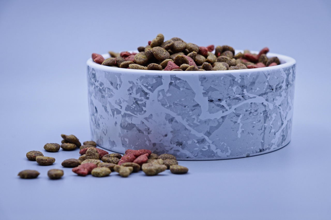cat-7315742_1280 rohes Fleisch